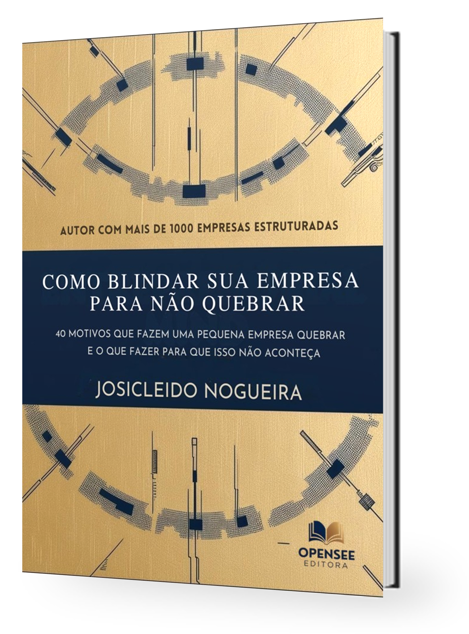 Livro Blindar Sua Empresa Para Não Quebrar