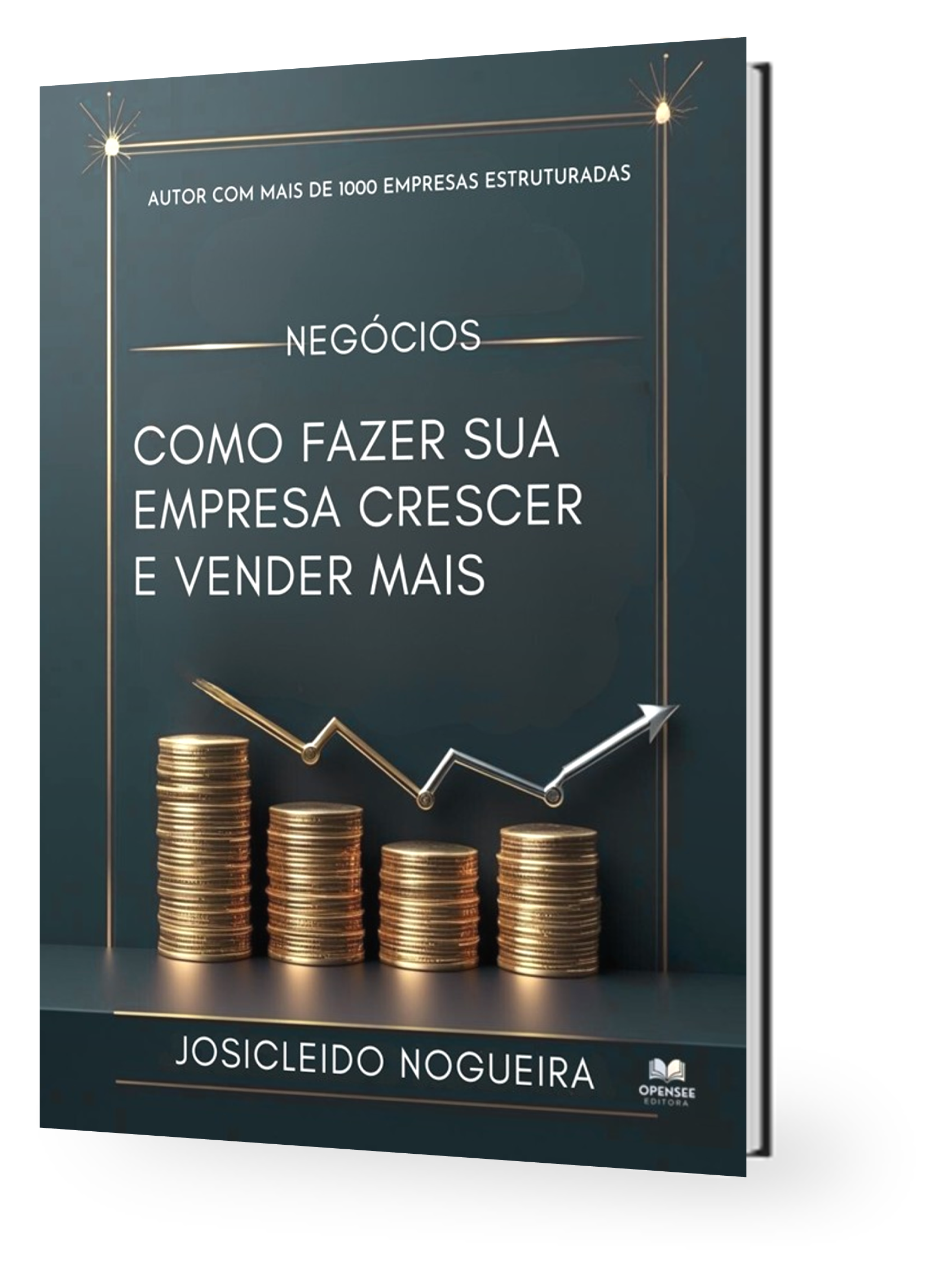 Livro Como Fazer sua Empresa Crescer e Vender Mais - Josicleido Nogueira 1