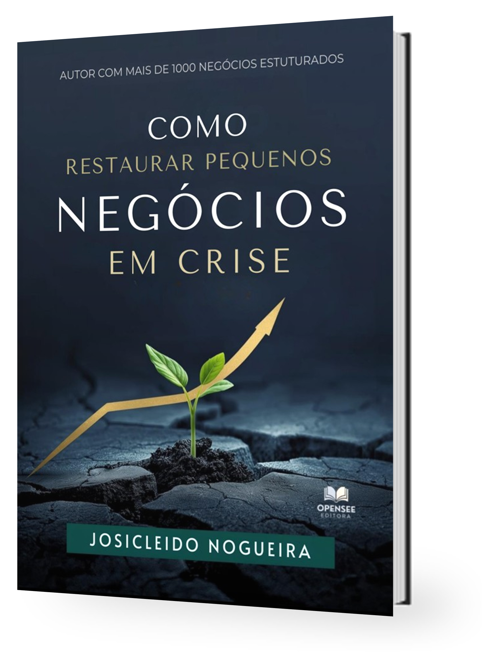 Livro Como Restaurar Pequenos Negócios em Crise - Autor Josicleido Nogueira