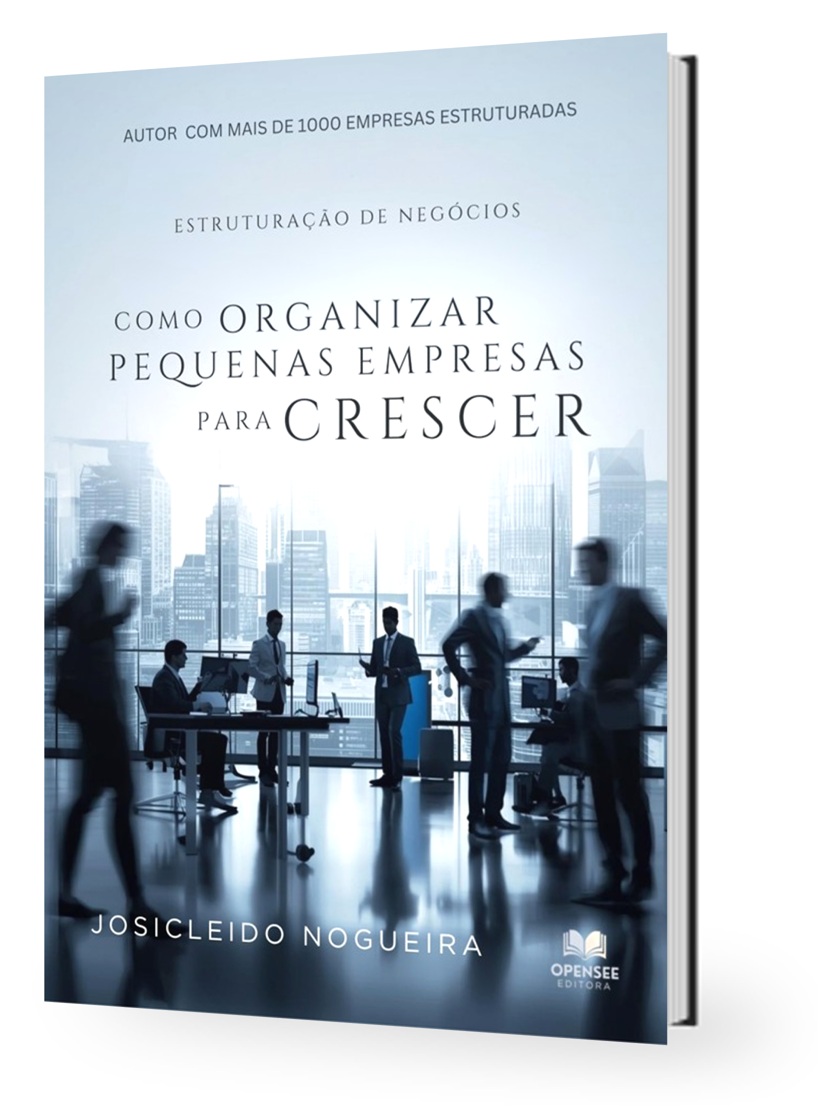 Livro Como Organizar Pequenas Empresas para Crescer - Autor Josicleido Nogueira